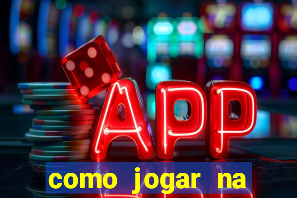 como jogar na lotinha do jogo do bicho