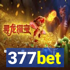 377bet