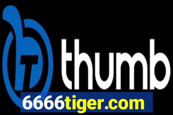 6666tiger.com