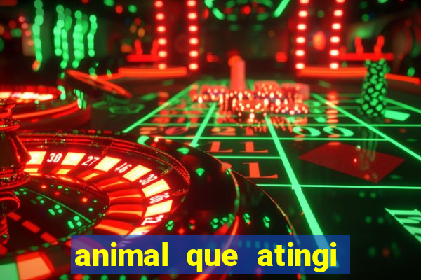 animal que atingi 230 decibeis