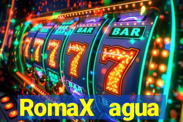 RomaX agua sanitaria fispq agua sanitaria romax