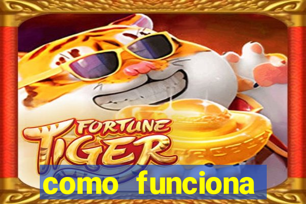 como funciona tarifa super bingo msc