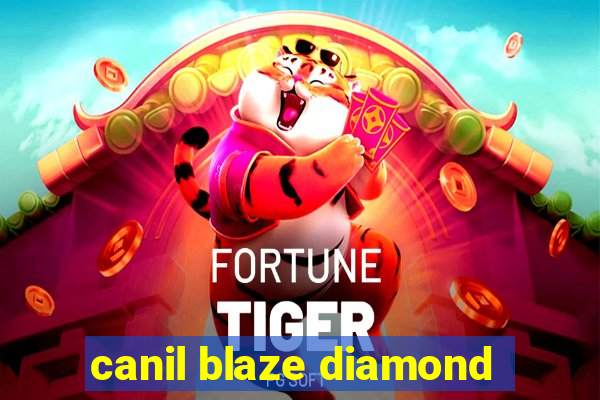 canil blaze diamond