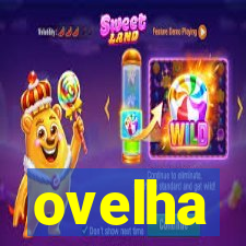 ovelha