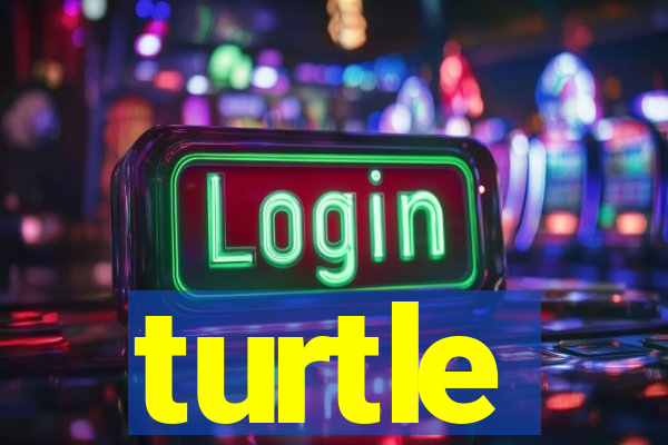 turtle-ty.com