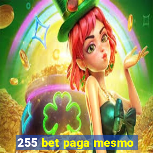 255 bet paga mesmo