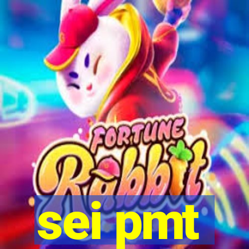 sei pmt