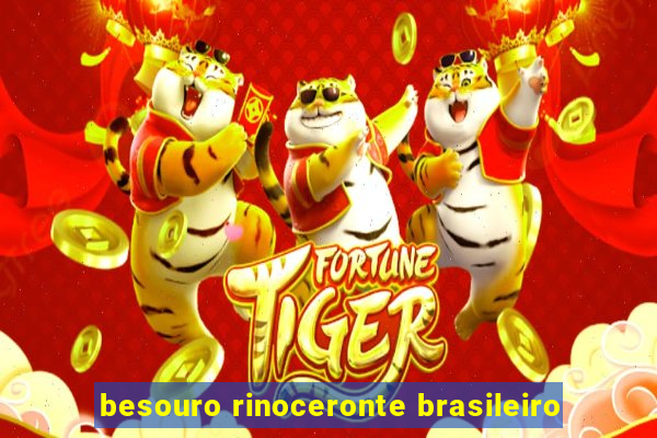 besouro rinoceronte brasileiro